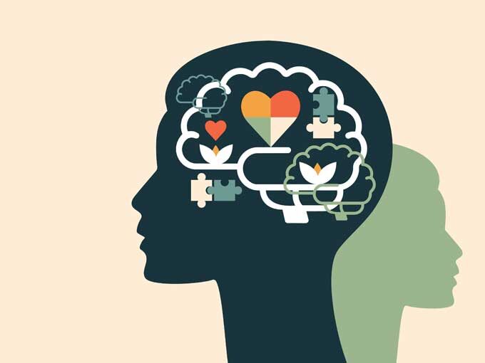 brain imagery