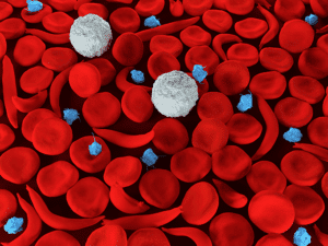 sickle cells for blog